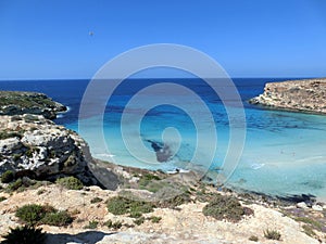 Sea of the LAMPEDUSA island in Italy