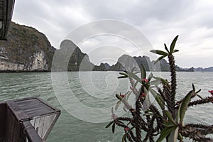 Sea landscape. Ha Long Bay, Vietnam