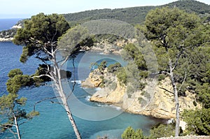 Sea landscape near bandol, France