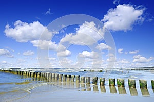 Sea landscape, row of wooden piles on a sandy beach