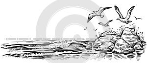 Sea landscape with water waves, seagulls, and rocks. Vector sketch.