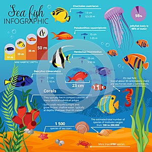 Sea Life Animals Plants Infographic