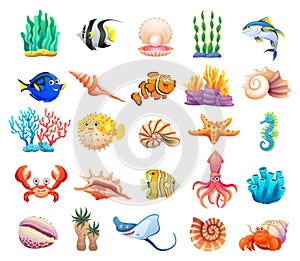 Sea life animals, sea shells, and coral reef collection