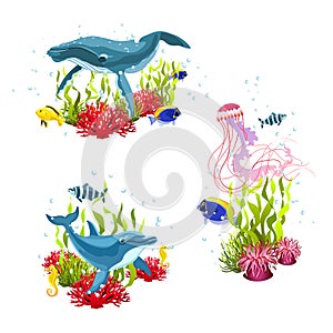 Sea life compositions