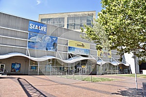 Sea Life at the Cafe Crown Center, Kansas City, Missouri