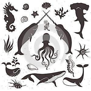 Sea life, marine animals. Vintage hand drawn elements