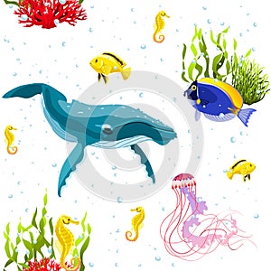 Sea life pattern