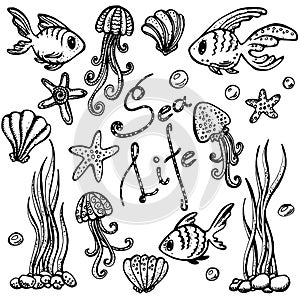 Sea life set. Hand drawn doodles