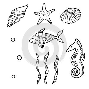 Sea life set. Hand drawn Sea Shells, Star, horse and Fish. Vector illustrations of Seaweeds, laminaria algae and Water