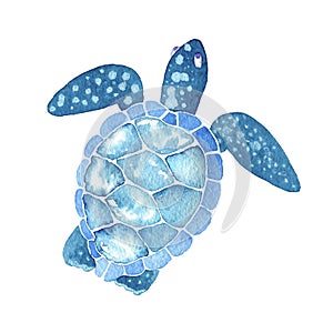 Sea life. watercolor sea turtle