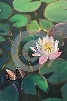 Sea lilies on petals art painting