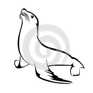 Sea Lion