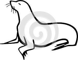 Sea Lion