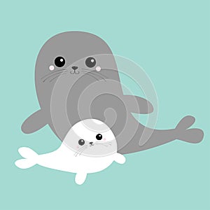Sea lion. Harp seal pup set. Cute cartoon kawaii character. Gray white color. Happy animal collection. Sea ocean water. Mother and