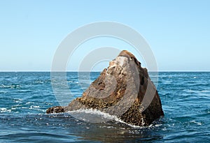 Sea Lion lazing on Pinnacle Rock at Lands End in Cabo San Lucas Baja Mexico