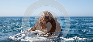 Sea Lion lounging on Pinnacle Rock at Lands End in Cabo San Lucas Baja Mexico