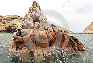 Sea lion on rocky formation Islas Ballestas, paracas