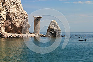 Sea Lion Rookery Roca Consag photo