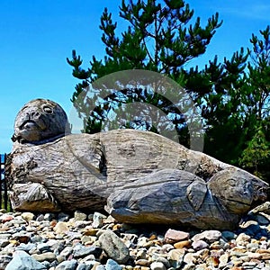 Sea Lion Sculpture