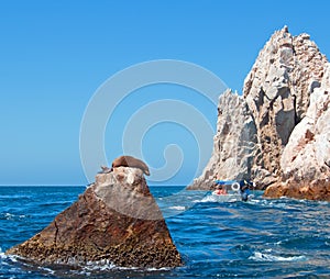 Sea Lion sunning on Pinnacle rock at Lands End at Cabo San Lucas Baja California Mexico