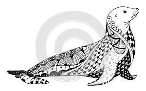 Sea lion zentangle stylized, seal, vector, illustration, freehand pencil, hand drawn, pattern