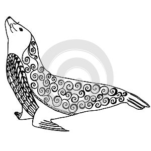 Sea lion zentangle stylized, seal vector illustration with freehand pencil, hand drawn pattern