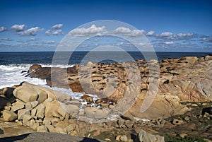 Sea lions in Cabo Polonio photo