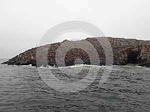 Sea lions on Palamino Island Lima Peru South America