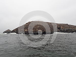 Sea lions on Palamino Island Lima Peru South America