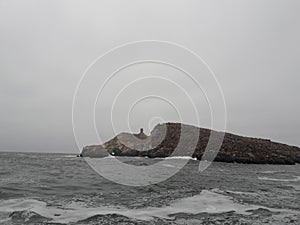 Sea lions on Palamino Island Lima Peru South America