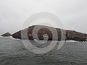 Sea lions on Palamino Island Lima Peru South America