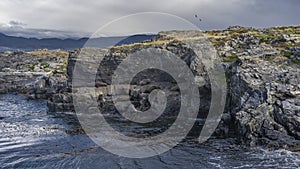 Sea lions relax lying on a rocky islet in the Beagle Channel.