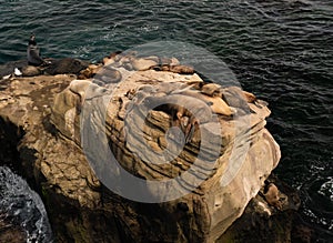 Sea Lions sleeping on rocks