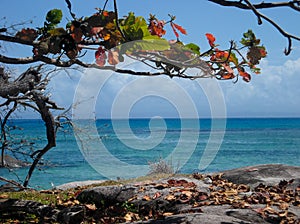 Sea in Madagascar