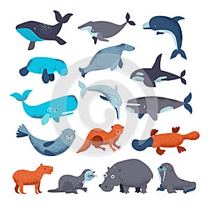 Sea mammal vector water animal character dolphin walrus and whale in sealife or ocean illustration marine set of seal or