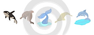 Sea mammals icon set, cartoon style