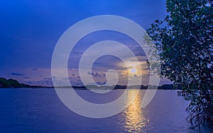 Sea at mangrove forest,evening light at sunset