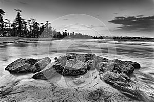 Sea Manly beach rocks alga photo