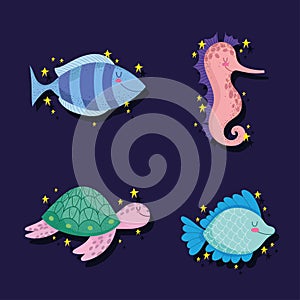 sea marine animals