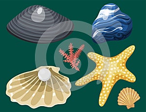 Sea marine animals and shells souvenirs cartoon vector illustration spiral tropical mollusk mussel decoration