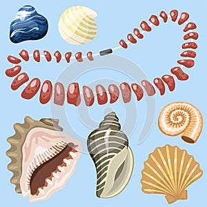 Sea marine animals and shells souvenirs cartoon vector illustration spiral tropical mollusk mussel decoration