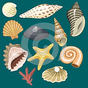 Sea marine animals and shells souvenirs cartoon vector illustration spiral tropical mollusk mussel decoration