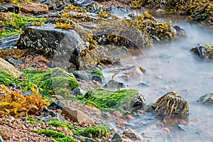 Sea Meets Land On Cape Breton In Nova Scotia, Canada