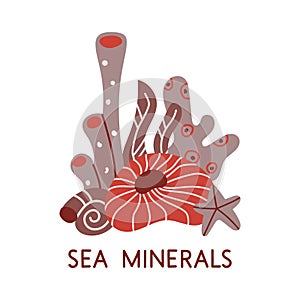 Sea minerals hand drawn illustration. Red cartoon clipart of ocean plants, coral, shell, starfish. Stylized poster, print, element