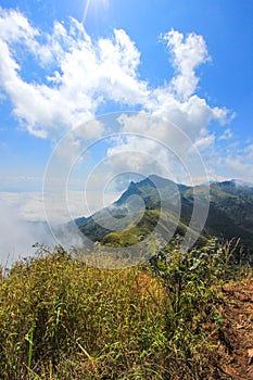 Sea of mist at Doi Pha Tang,Chiang Rai,northern Thailand.