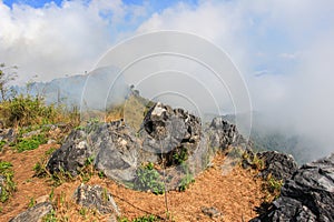 Sea of mist at Doi Pha Tang,Chiang Rai,northern Thailand.