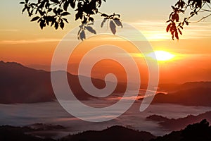 Sea of mist in Huai Nam Dang National Park - Chiang Mai, Thailand