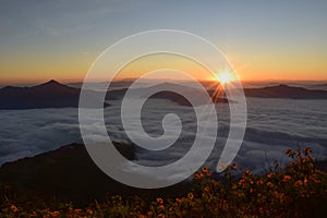 Sea mist with sunrise at Phatang