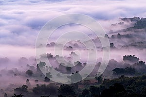 Sea of mist from Yunlai view point at Pai, Mae Hong Son, Thailand photo