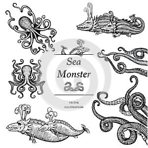 Sea Monster Illustrations